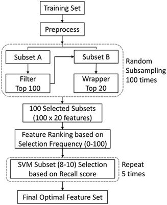 Classifying MCI Subtypes in Community-Dwelling Elderly Using Cross-Sectional and Longitudinal MRI-Based Biomarkers